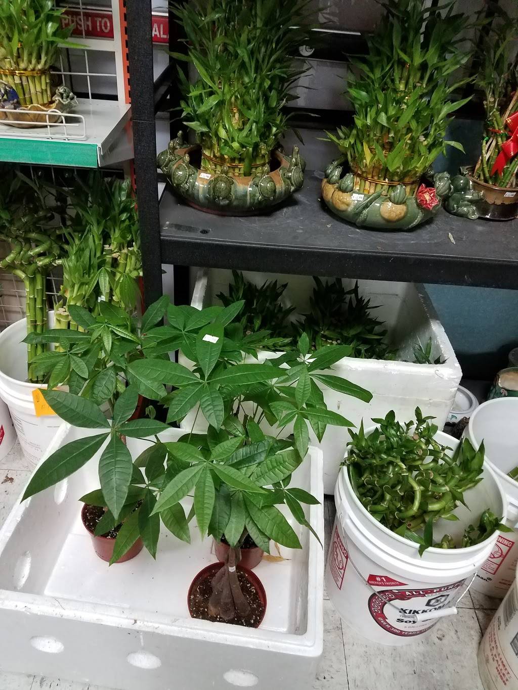 Merced Grand Buffet | restaurant | 1121 W Olive Ave ste a, Merced, CA 95348, USA | 2093881268 OR +1 209-388-1268