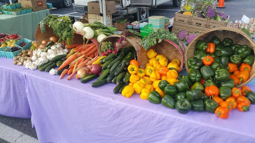 Woodys Local Neighborhood Rum & Grille | restaurant | 2408 Surfside Blvd, Cape Coral, FL 33991, USA | 2392572870 OR +1 239-257-2870