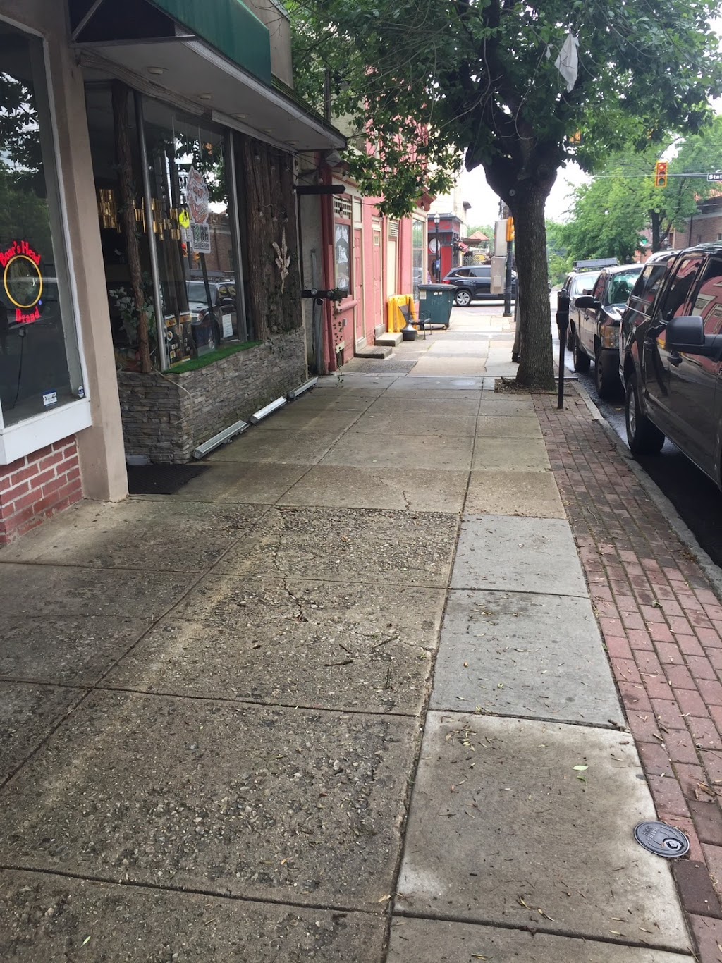 Tora sushi & Thai fusion | restaurant | 19 S Olive St, Media, PA 19063, USA | 6108815353 OR +1 610-881-5353