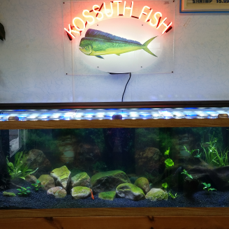 Kossuth Fish Market Inc | restaurant | 300 Kossuth Ave, Utica, NY 13501, USA | 3157350100 OR +1 315-735-0100
