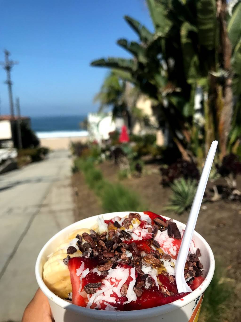 Paradise Bowls | cafe | 919 Manhattan Ave, Manhattan Beach, CA 90266, USA | 3107987100 OR +1 310-798-7100