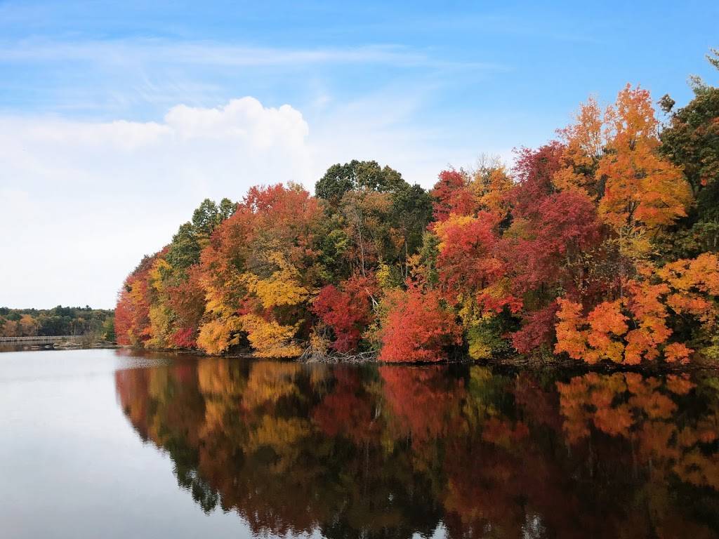 Starbucks | cafe | 154 Turnpike Road, Rte 9, Southborough, MA 01772, USA | 5084869909 OR +1 508-486-9909