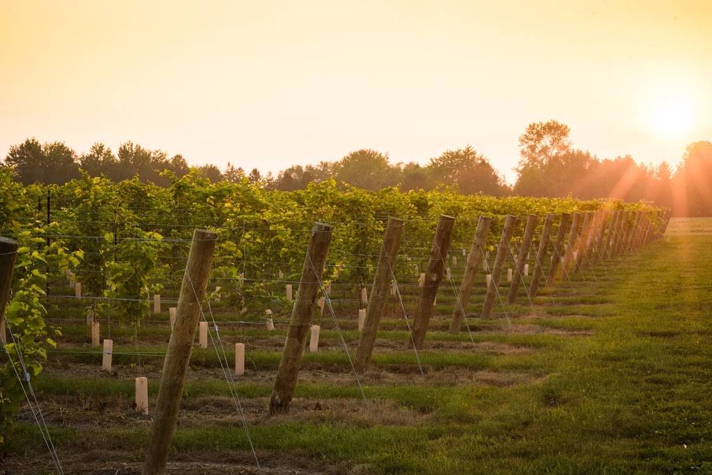 Hessenland Inn | restaurant | 72981 ON-21, Zurich, ON N0M 2T0, Canada | 8665437736 OR +1 866-543-7736