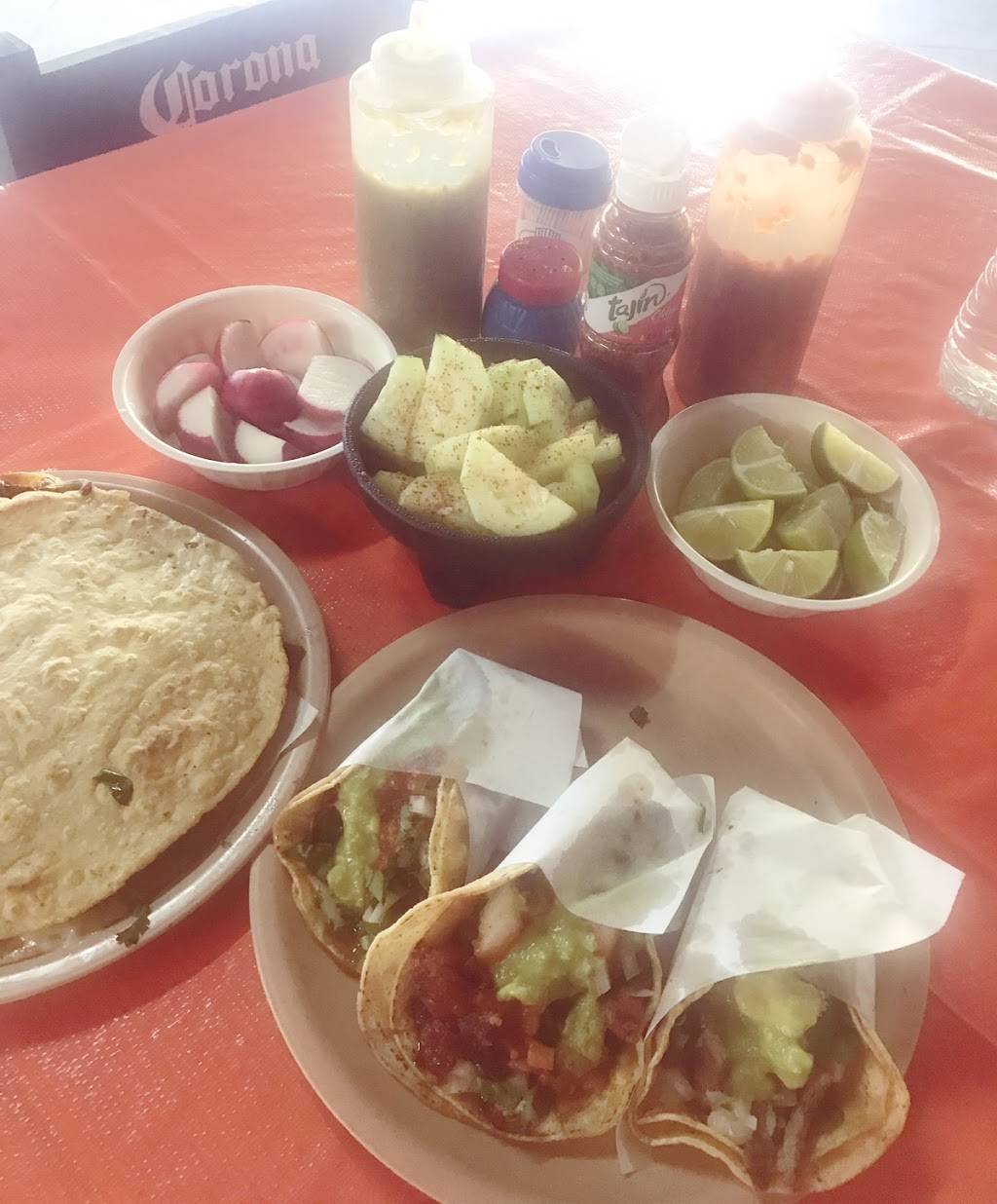 Los Pinches Tacos | restaurant | El Cortez, 22190 Tijuana, B.C., Mexico | 016641543115 OR +52 664 154 3115