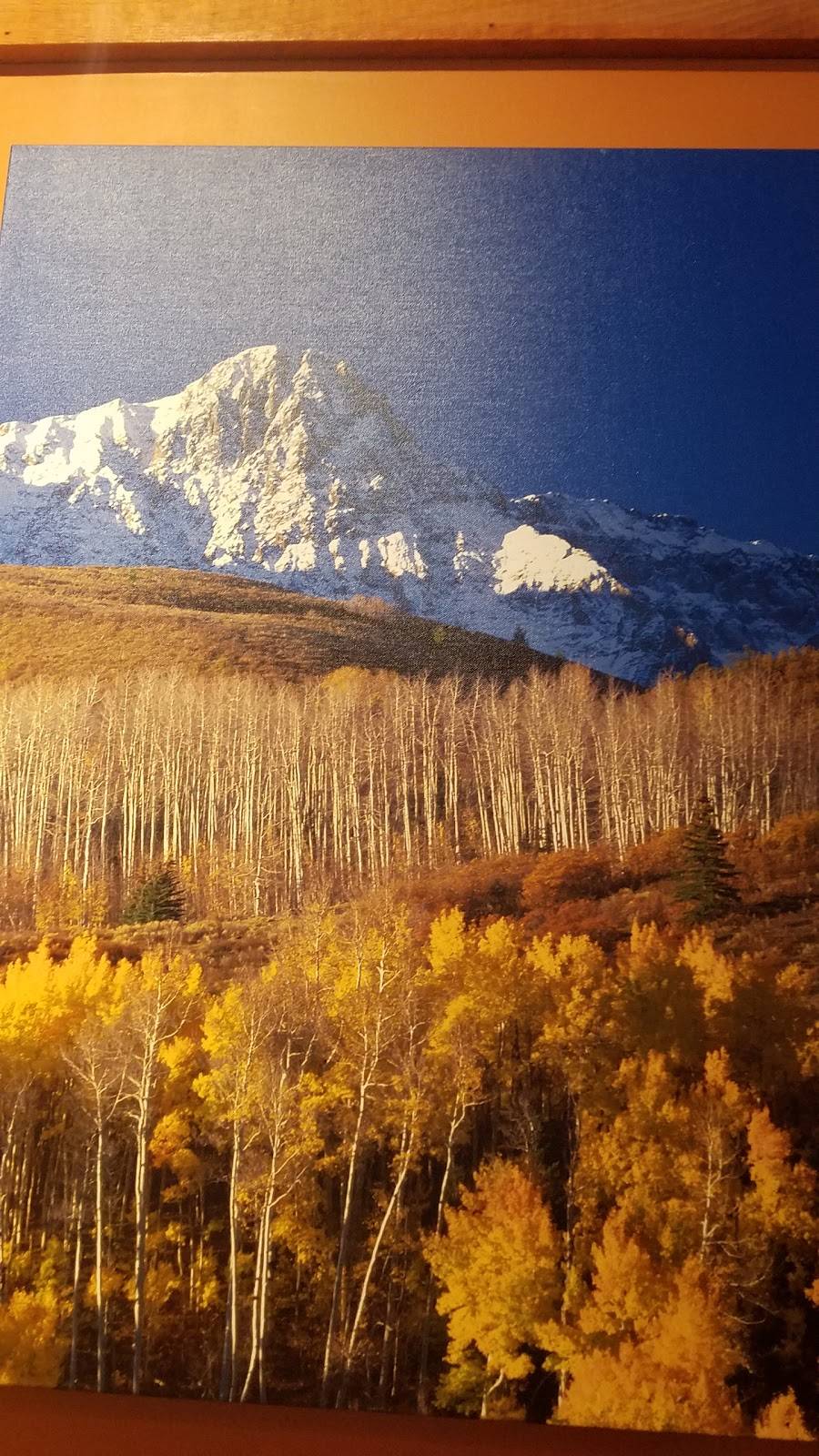 Seasons Cafe | restaurant | 15 Village Center Dr, Reading, PA 19607, USA | 6104010303 OR +1 610-401-0303