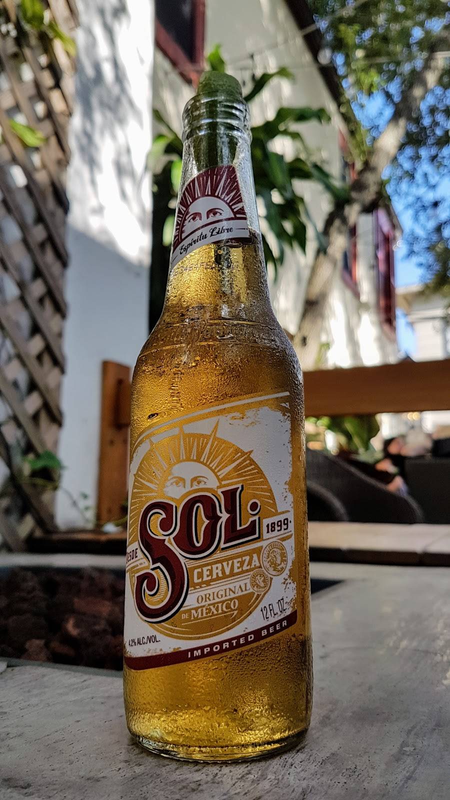 Casa Maya | restaurant | 22 Hypolita St, St. Augustine, FL 32084, USA | 9048230787 OR +1 904-823-0787