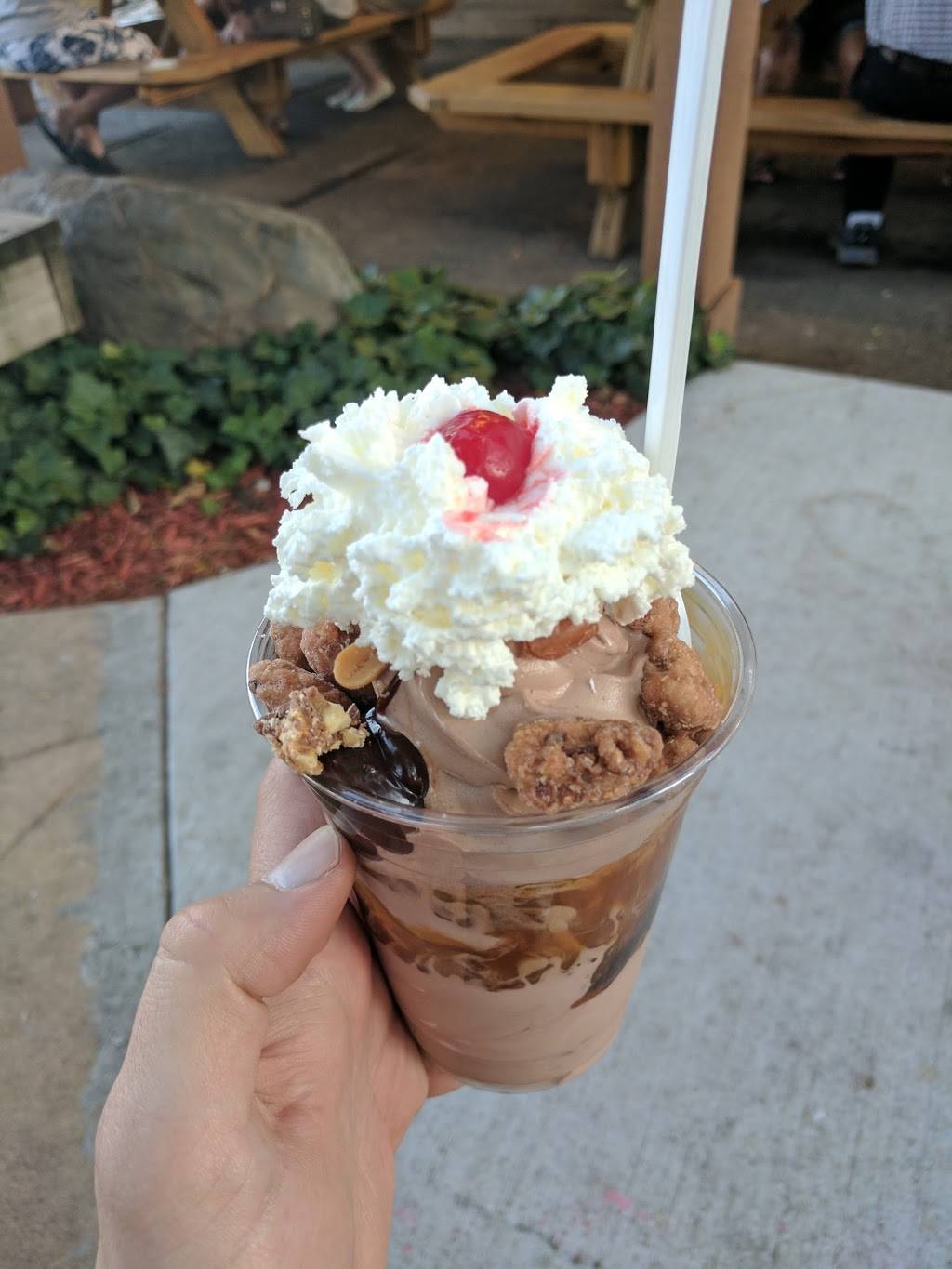 Captain Sundae | restaurant | 537 W Main Ave, Zeeland, MI 49464, USA | 6167721540 OR +1 616-772-1540