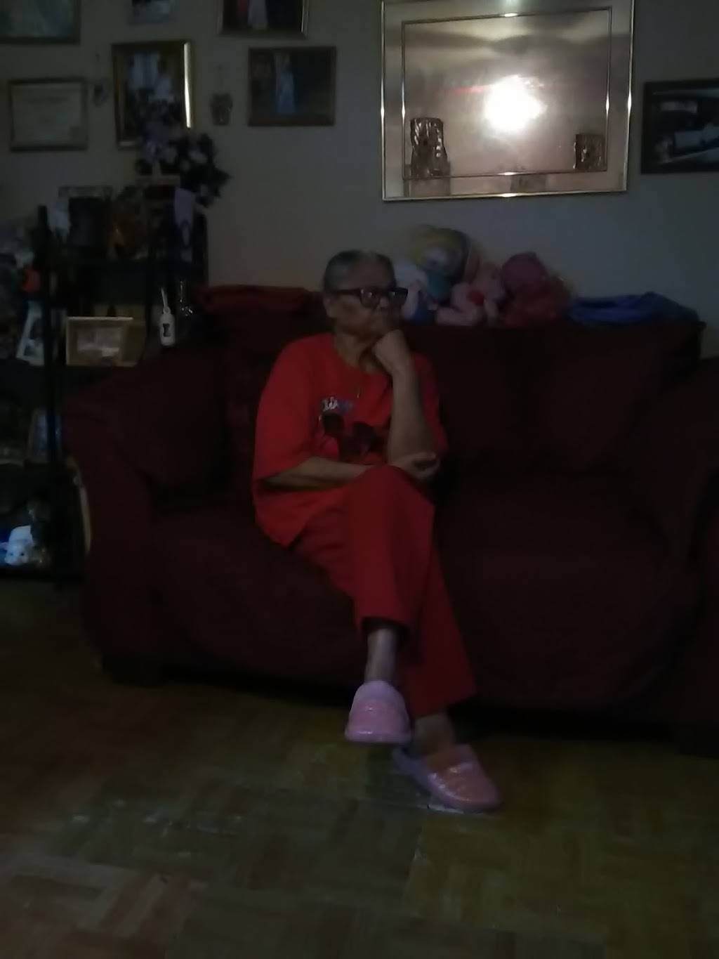 May May | restaurant | 741 Hunts Point Ave, Bronx, NY 10474, USA | 7185425307 OR +1 718-542-5307