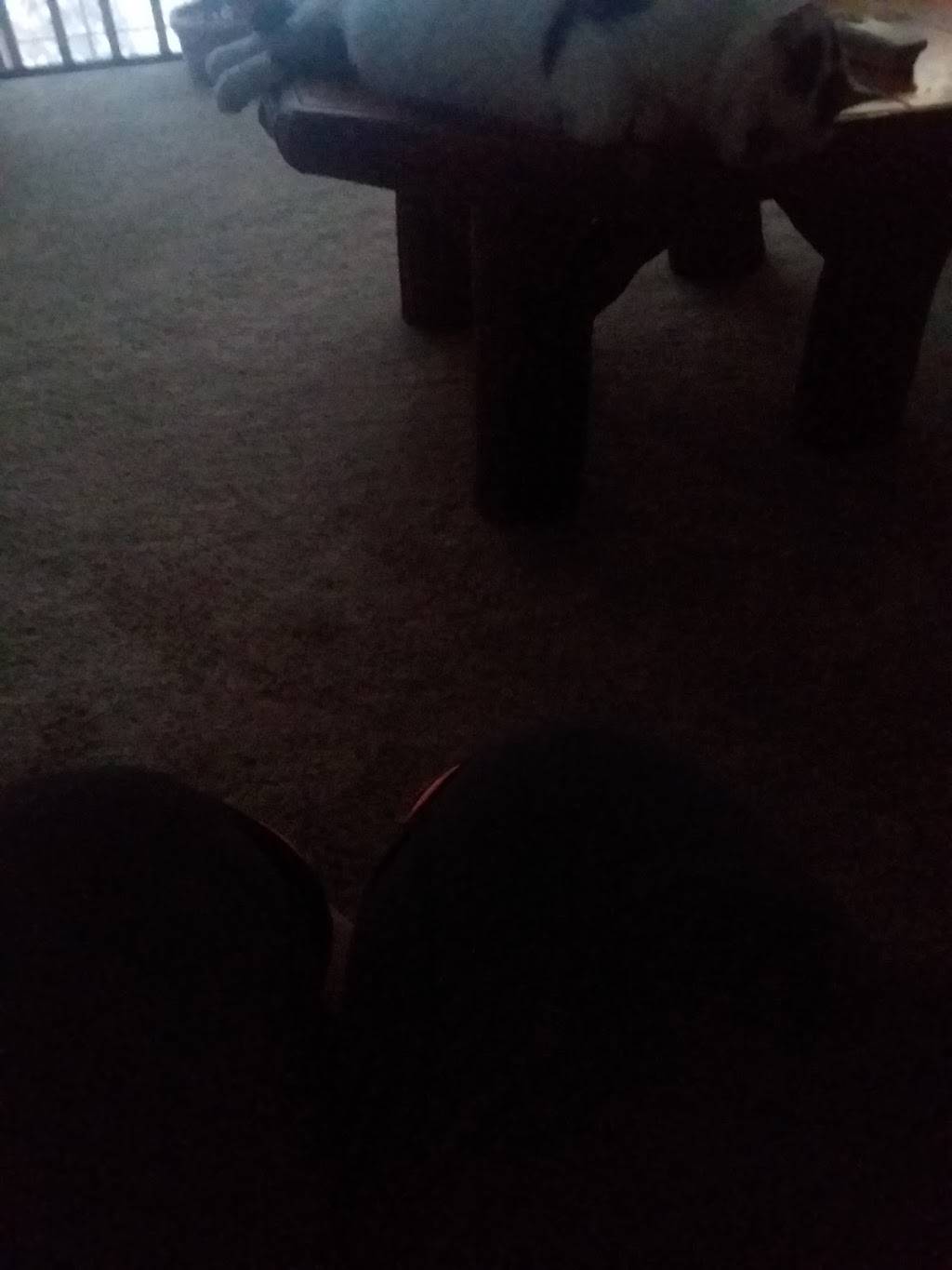 Pascarellas Restaurant | restaurant | 12 Washington St, Cattaraugus, NY 14719, USA | 7162573394 OR +1 716-257-3394