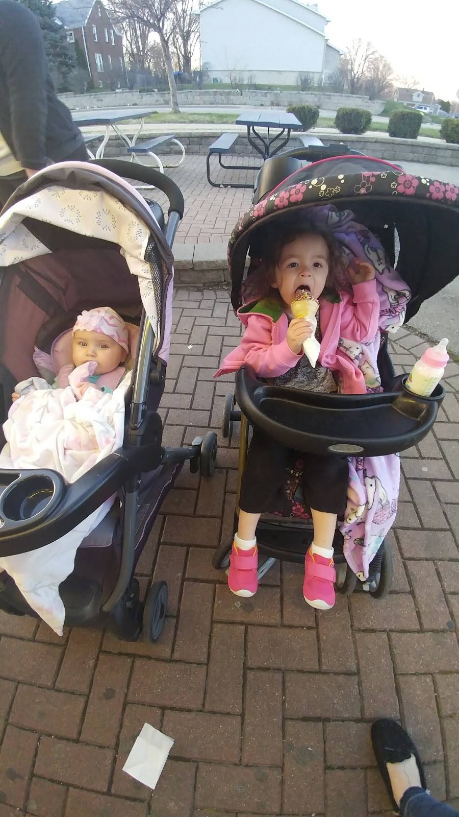 Dari Delite | restaurant | 718 Theodore St, Joliet, IL 60435, USA | 8157267657 OR +1 815-726-7657