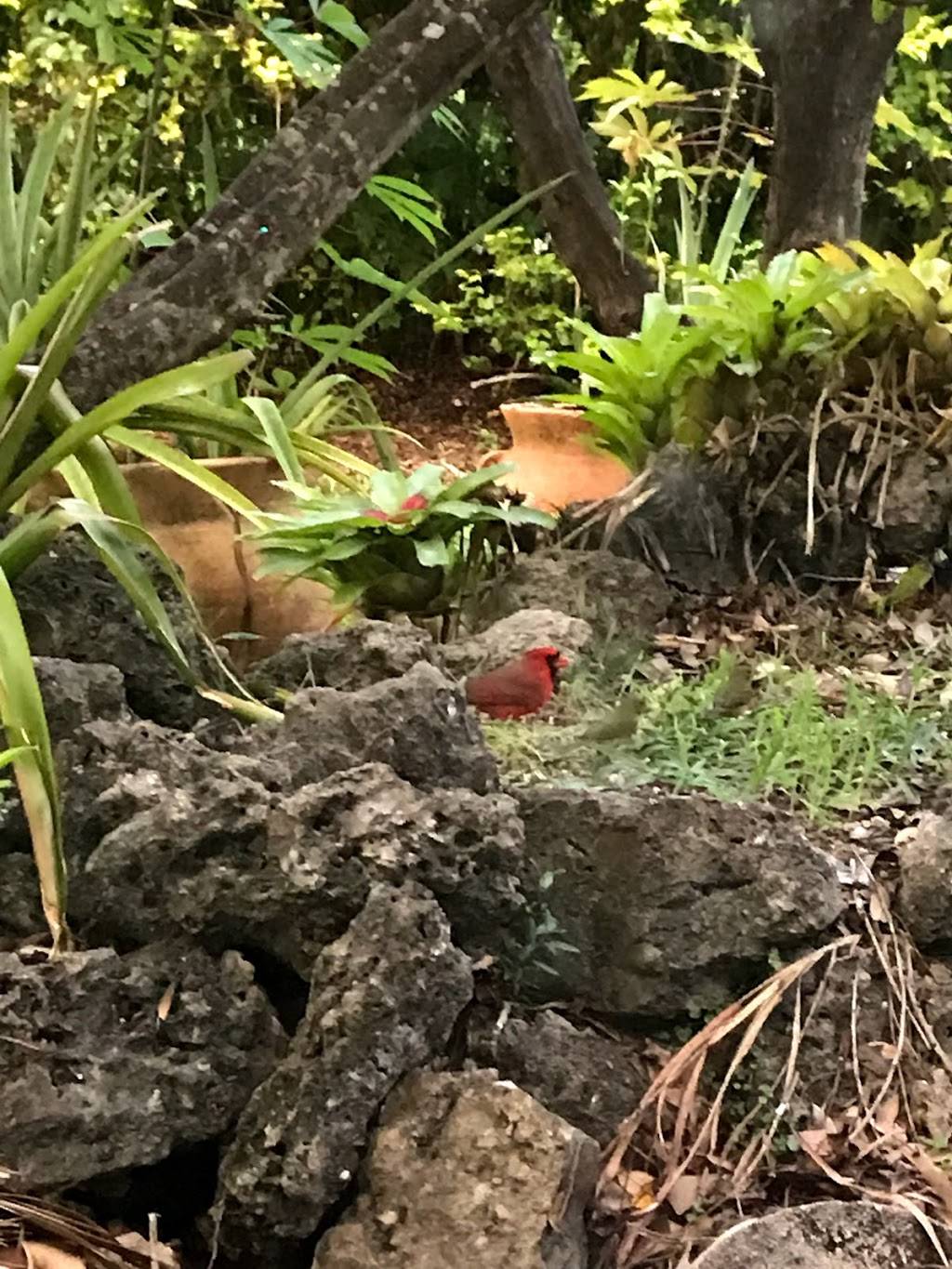 Takee Outee - Cutler Bay | restaurant | 20234 Old Cutler Rd, Cutler Bay, FL 33189, USA | 3052518188 OR +1 305-251-8188