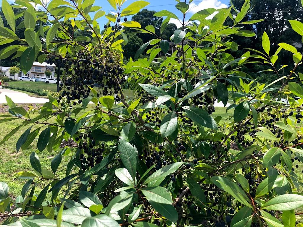 Melt Your Heart | restaurant | 129 Roberts St, Asheville, NC 28801, USA | 8289896749 OR +1 828-989-6749