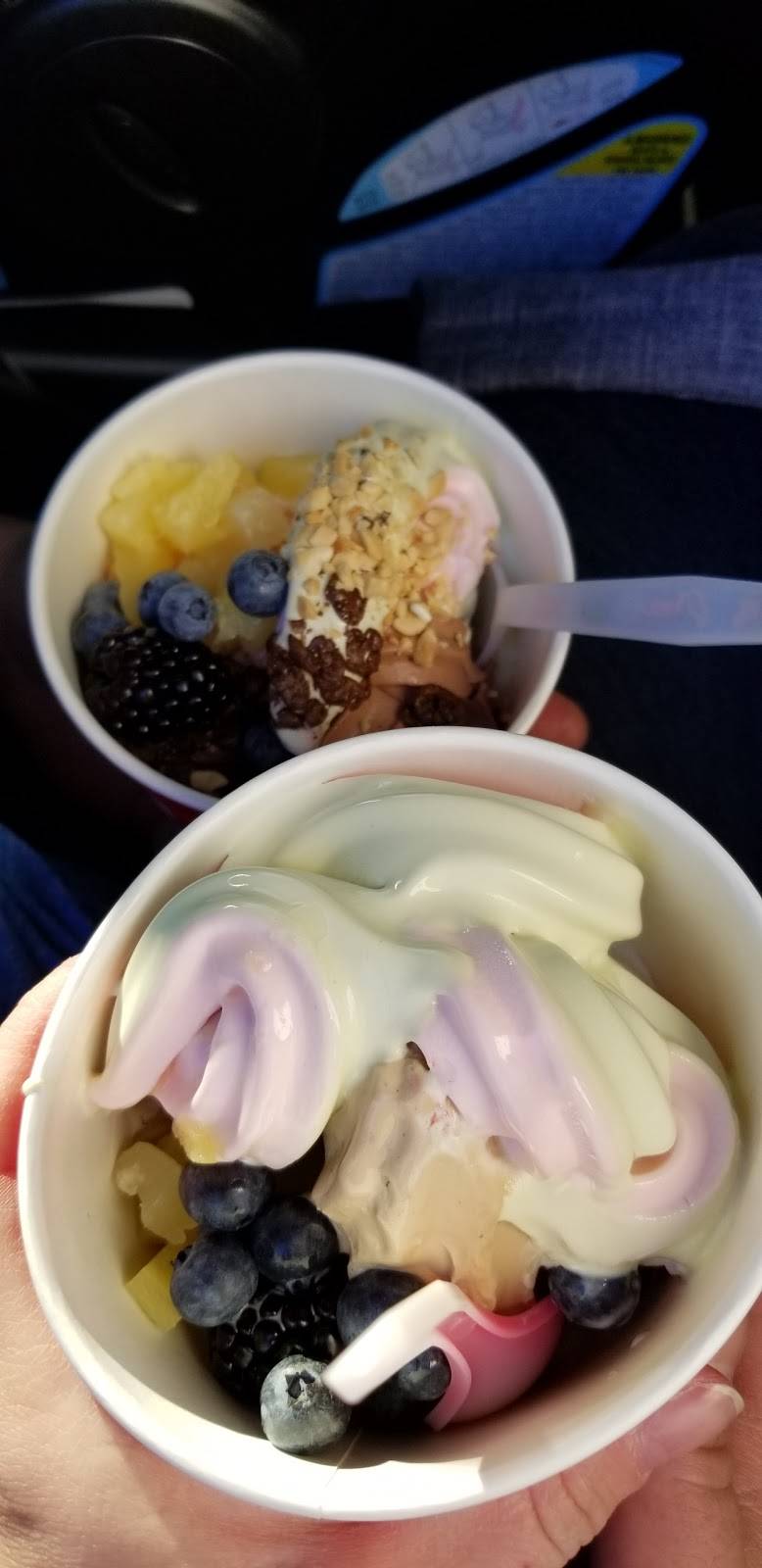 PennyLane Frozen Yogurt & Candy | restaurant | 651 Penny Ln, Campbell, CA 95008, USA | 4088316346 OR +1 408-831-6346