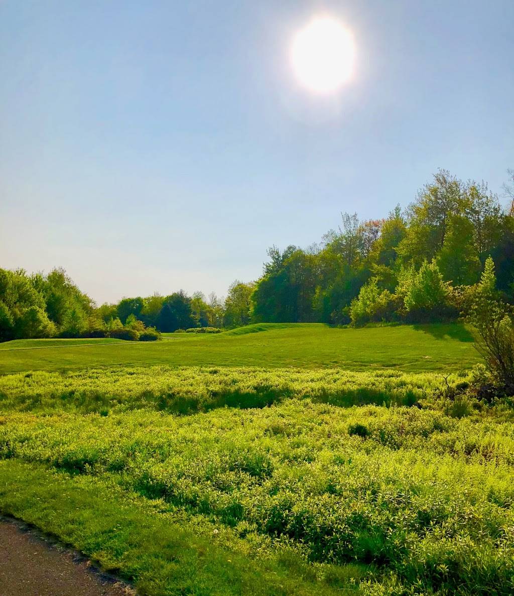 Split Rock Golf Club & Sunset Green Restaurant | restaurant | 140 Wolf Hollow Run Rd, Lake Harmony, PA 18624, USA | 5707229901 OR +1 570-722-9901