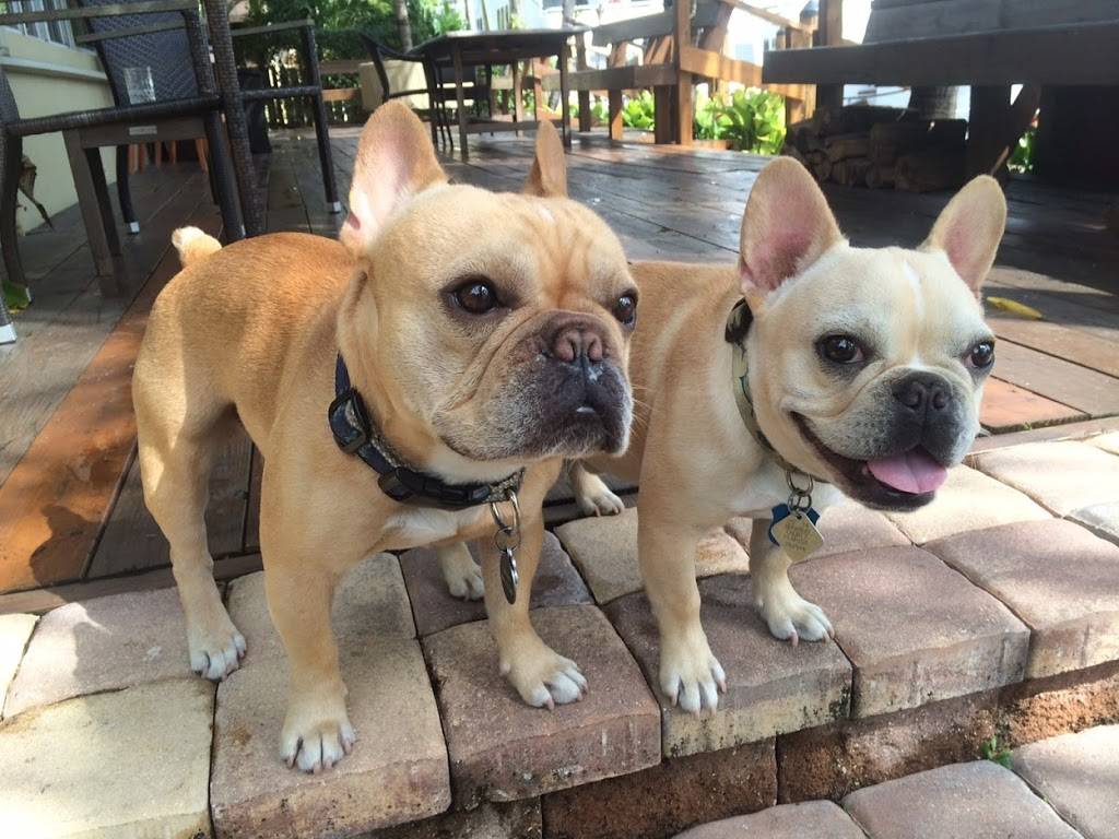 The Sandwich Shop at Buccan | restaurant | 350 S County Rd, Palm Beach, FL 33480, USA | 5618336295 OR +1 561-833-6295