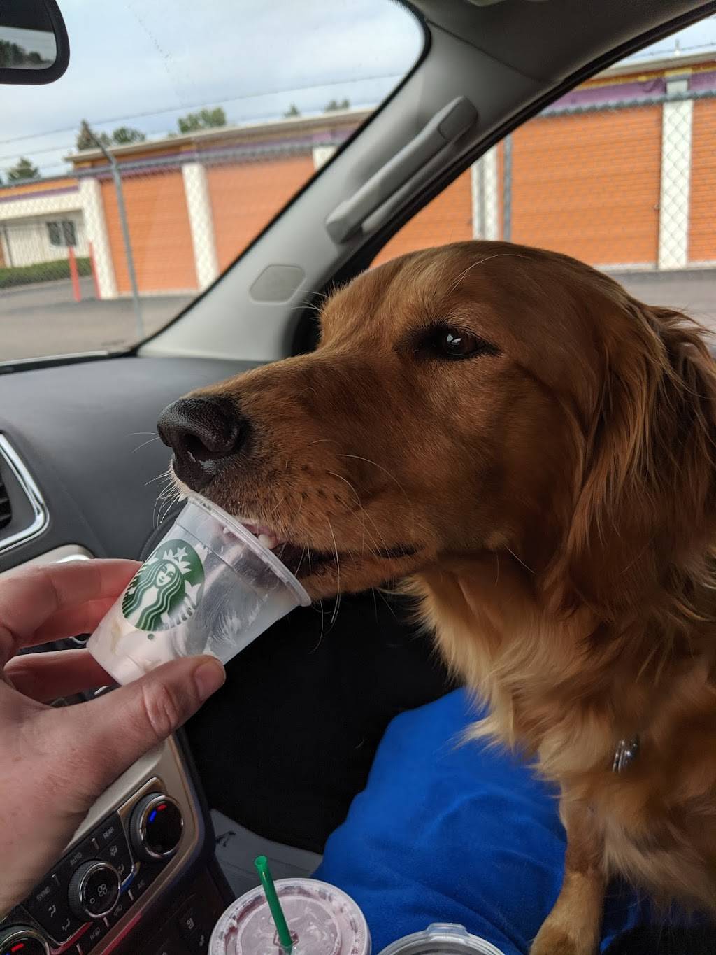 Starbucks | cafe | 10278 Centennial Rd, Littleton, CO 80127, USA | 3039339052 OR +1 303-933-9052