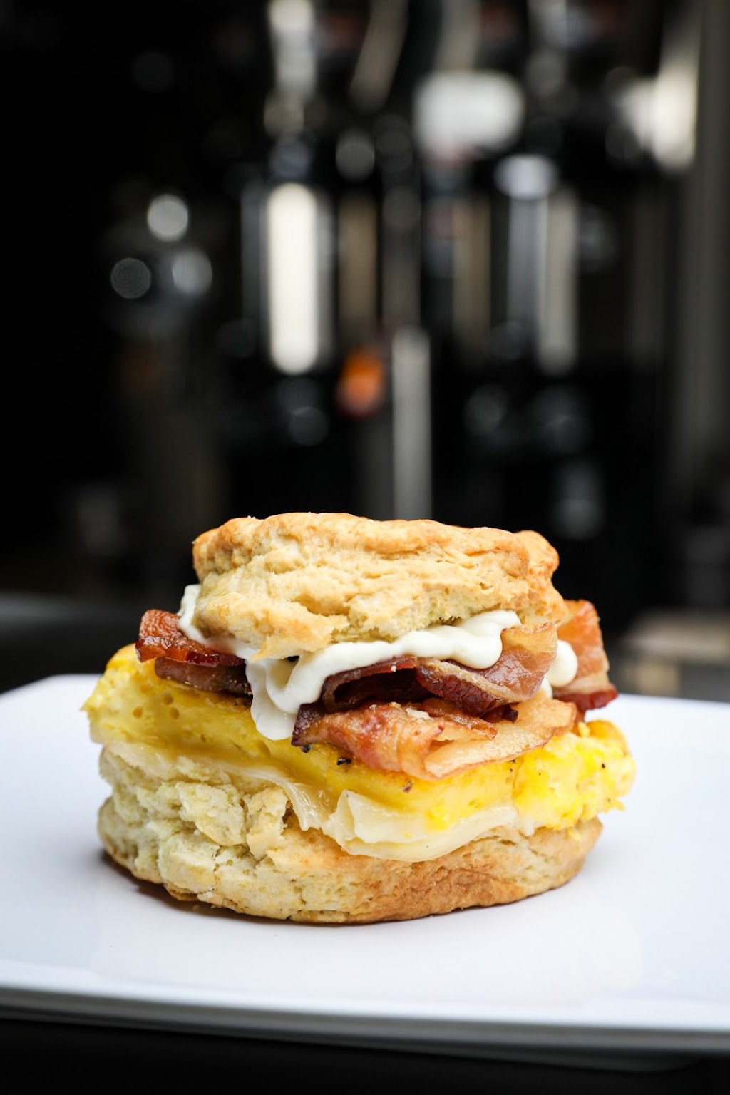 Funky Bean Italian Restaurant & Coffee Bar | cafe | 404 U.S. 31 W Bypass, Bowling Green, KY 42101, USA | 2709367415 OR +1 270-936-7415