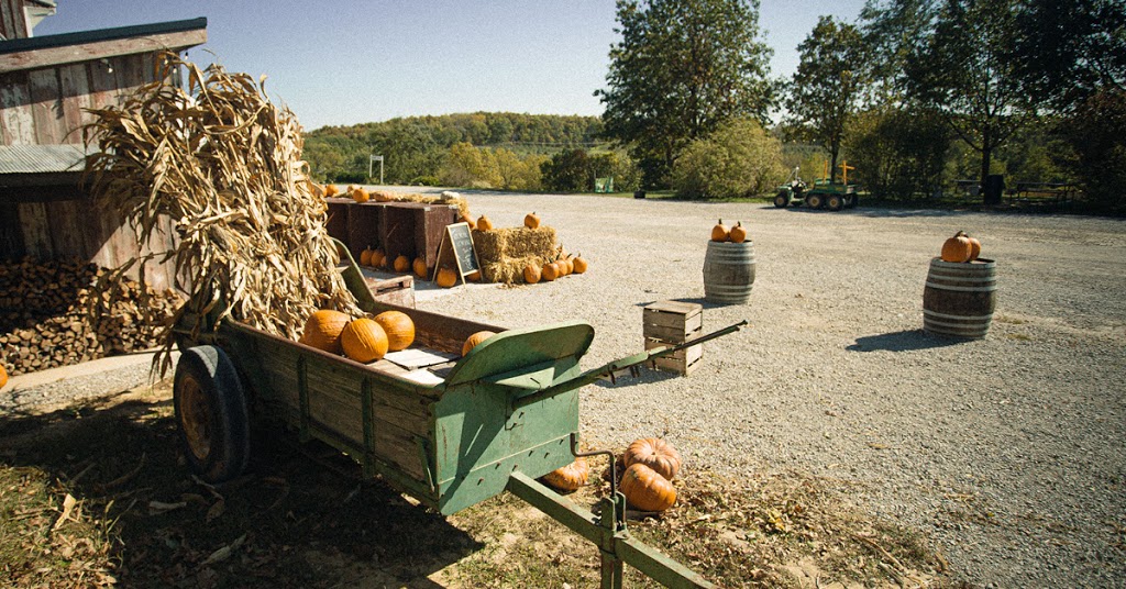 Wilsons Smokehouse | restaurant | 4823 Dingleberry Rd NE, Iowa City, IA 52240, USA | 3193541233 OR +1 319-354-1233