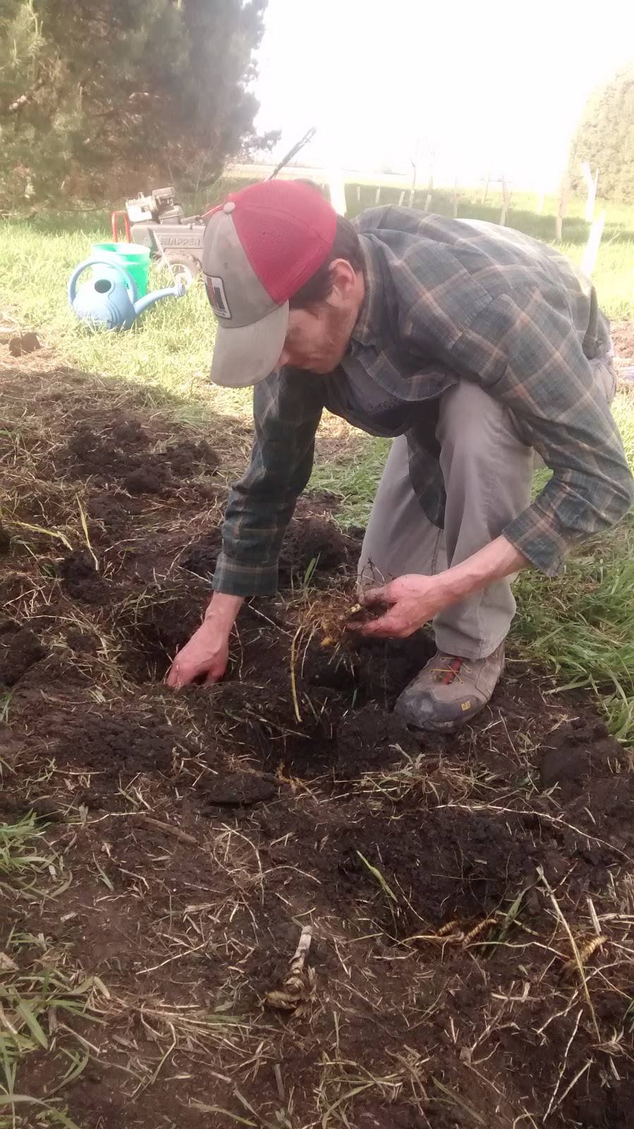 LIFE- Levis Indigenous Fruit Enterprises | restaurant | 1045 210th St, Keota, IA 52248, USA | 3199611438 OR +1 319-961-1438