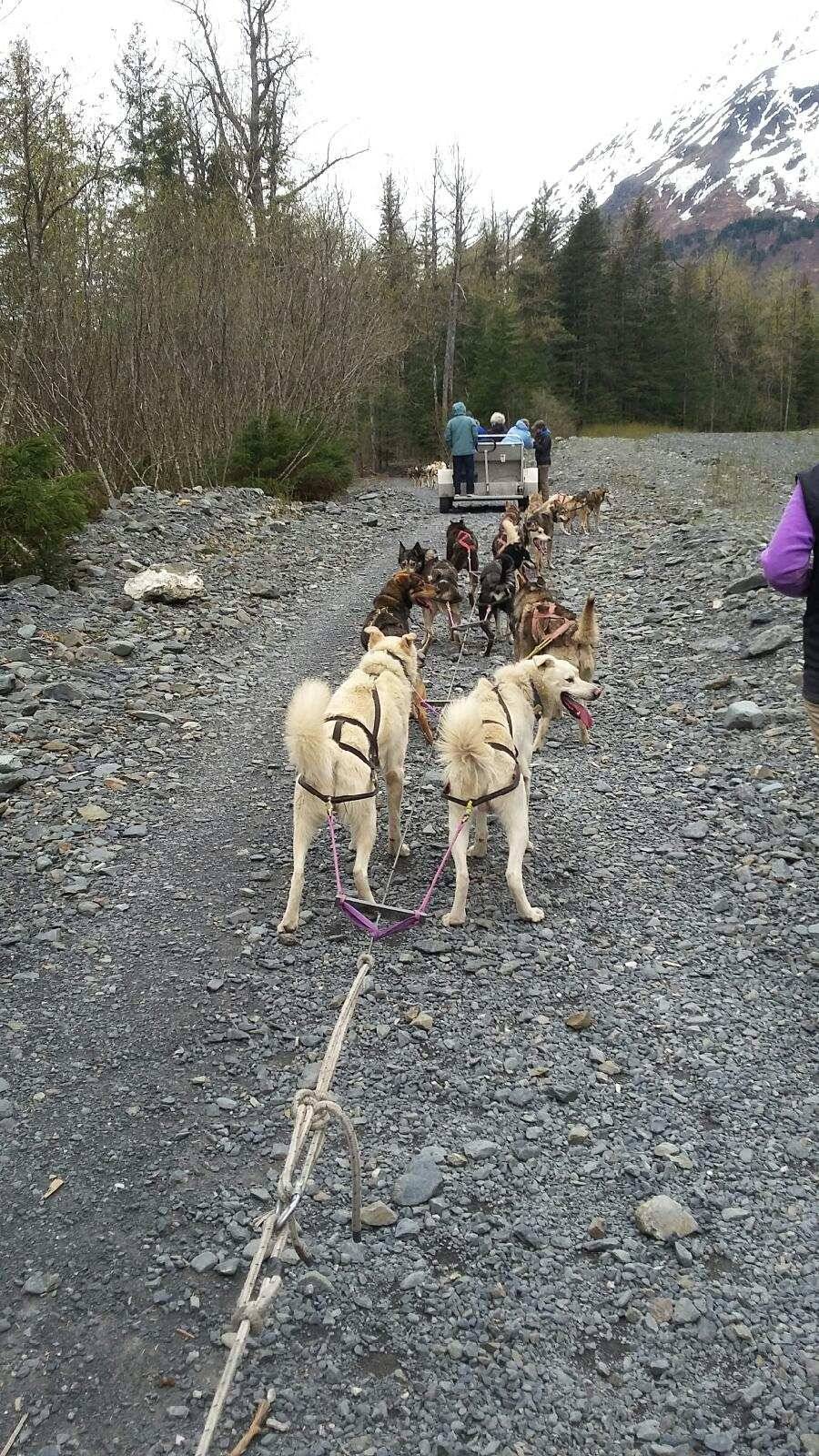 China Wok | meal delivery | 520, 1801 Ellis Blvd, Jefferson City, MO 65101, USA | 5736349991 OR +1 573-634-9991