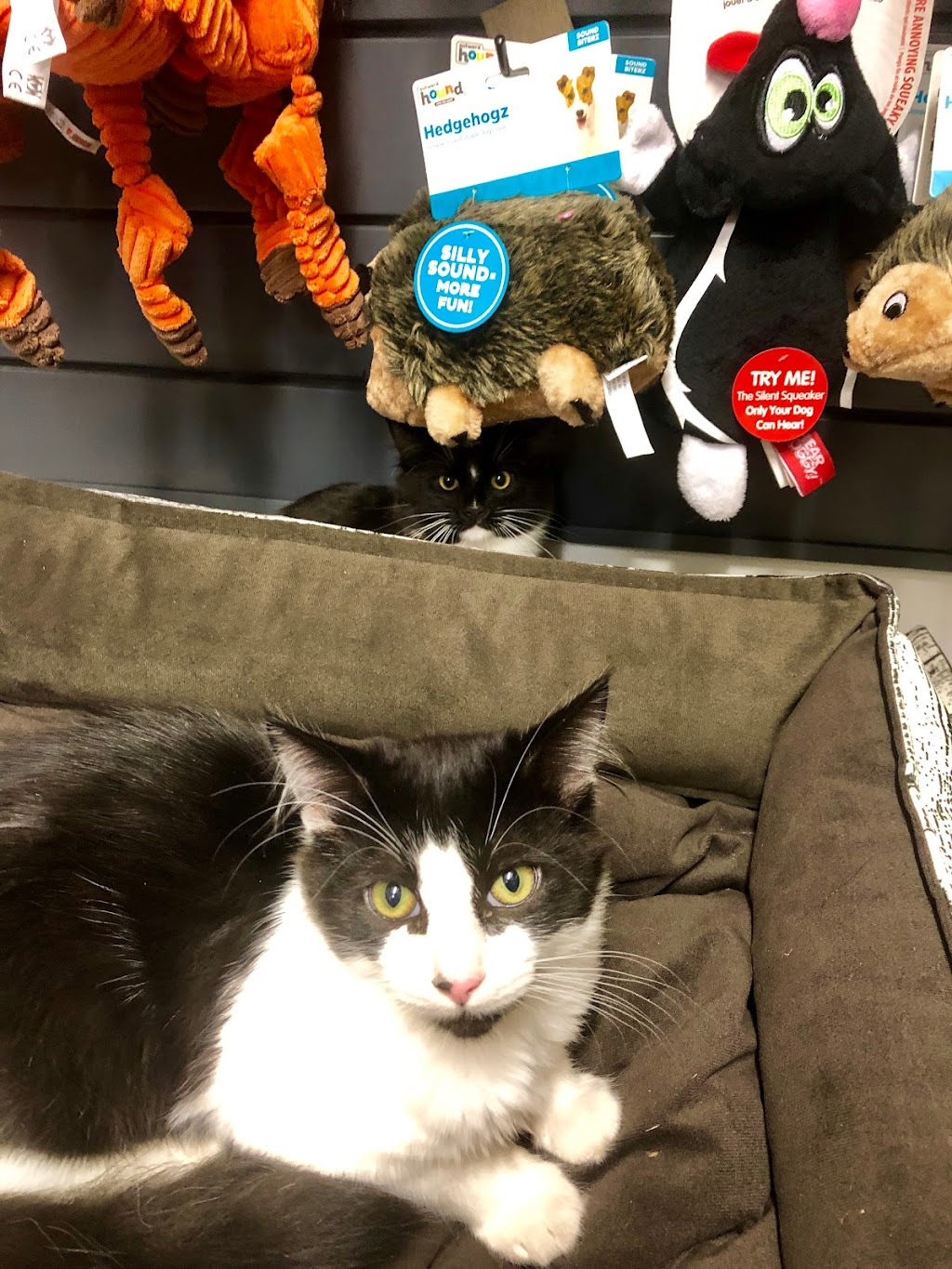 Urban Feed and Garden | restaurant | 4878 Beacon Ave S, Seattle, WA 98108, USA | 2064202047 OR +1 206-420-2047