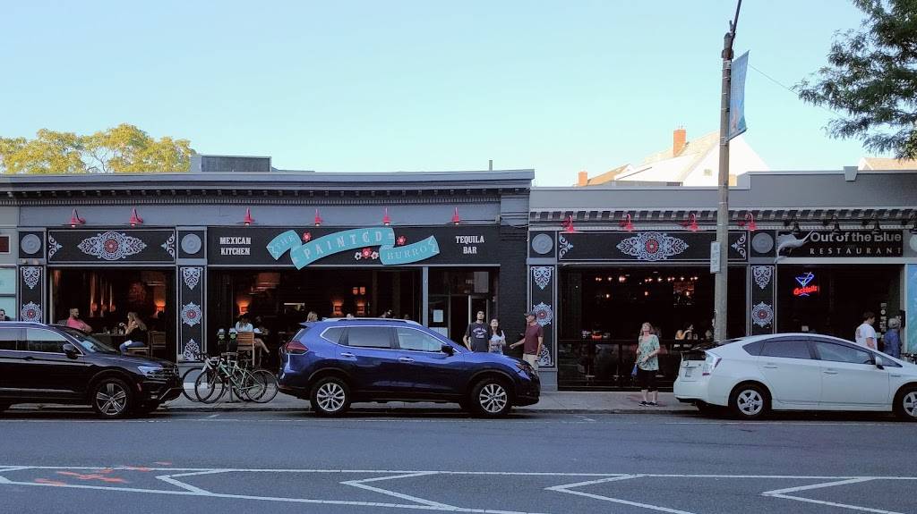 The Painted Burro | restaurant | 219 Elm St, Somerville, MA 02144, USA | 6177760005 OR +1 617-776-0005