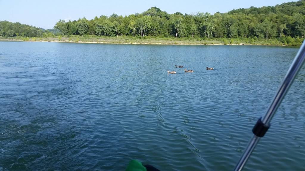 Coppertop Restaurant | restaurant | 450 Cove Hollow Cir, Lancaster, TN 38569, USA | 6155484115 OR +1 615-548-4115