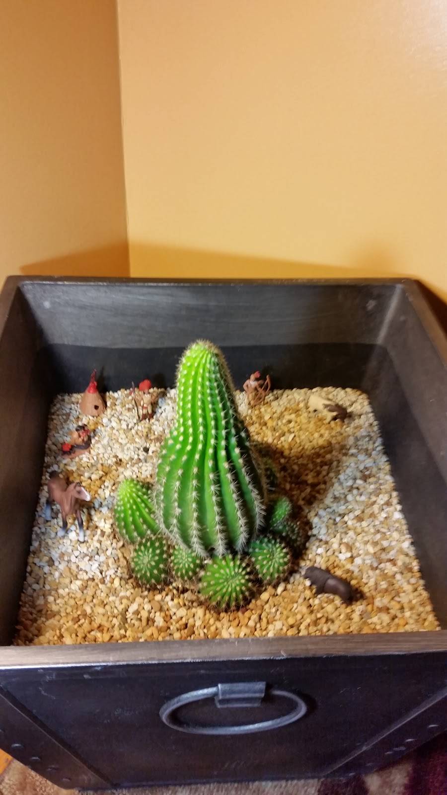 The Original Hog Wild | restaurant | 14933 Pulaski Rd, Midlothian, IL 60445, USA | 7083719005 OR +1 708-371-9005