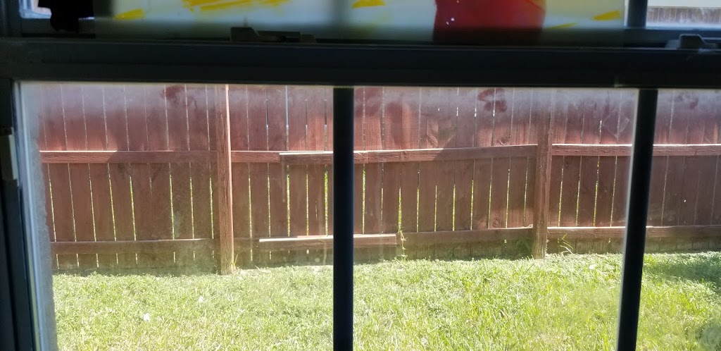 ROCHAS TACOS | restaurant | 505 E Nolana Loop ste d, Pharr, TX 78577, USA | 9562585913 OR +1 956-258-5913