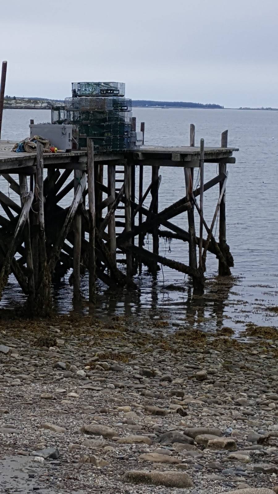 Watermans Beach Lobster | restaurant | 343 Waterman Beach Rd, South Thomaston, ME 04858, USA | 2075967819 OR +1 207-596-7819