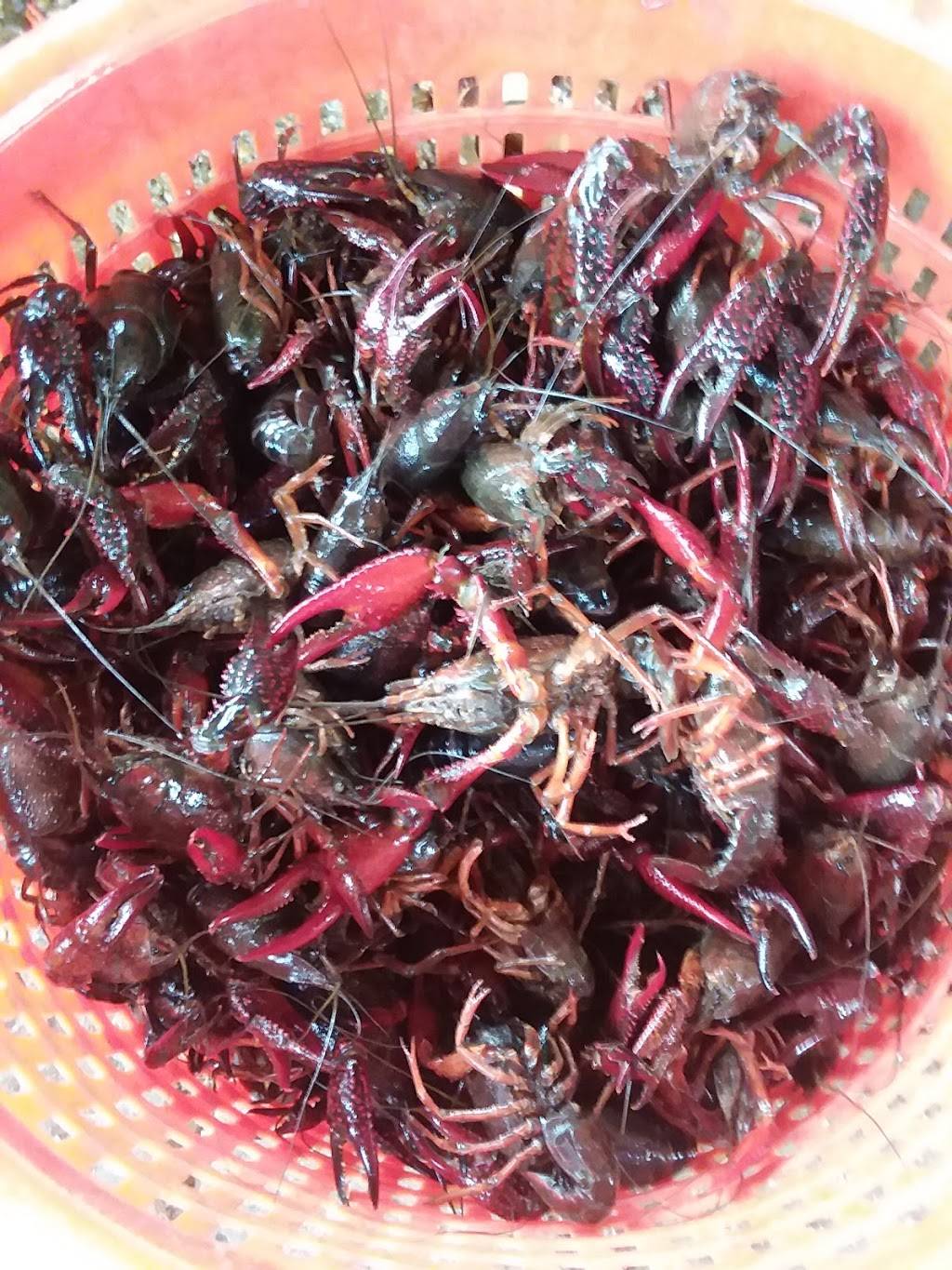 Chriss Restaurant | restaurant | 54013 LA-1062, Loranger, LA 70446, USA | 9858782030 OR +1 985-878-2030