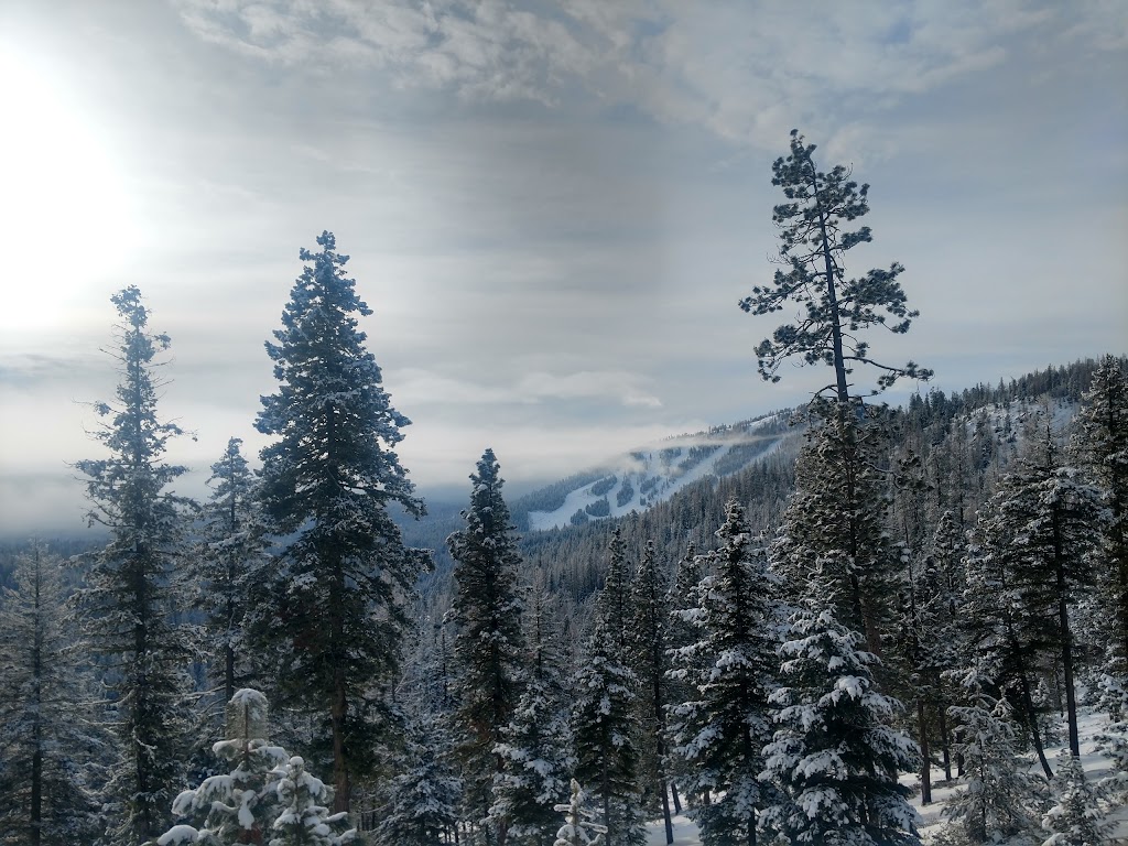 Loup Loup Ski Bowl | restaurant | 97 Fs 4200100 Rd, Okanogan, WA 98840, USA | 5095573401 OR +1 509-557-3401