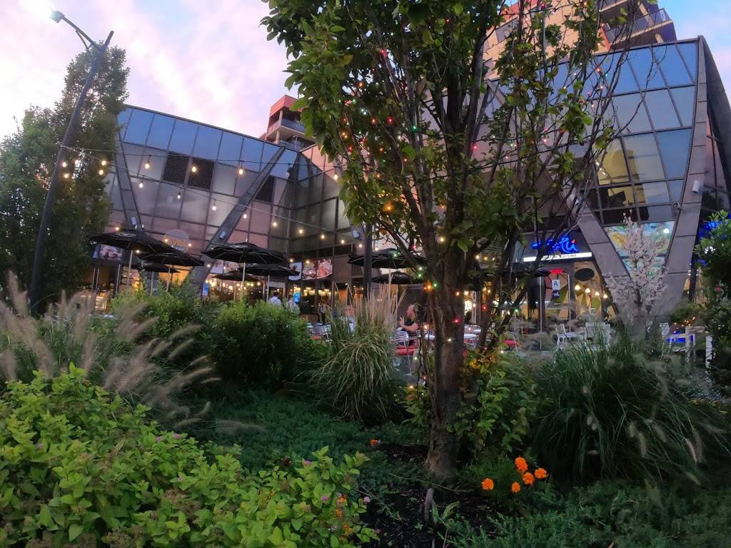 RiVel Grill and Bar | restaurant | 1809 Emmons Ave, Brooklyn, NY 11235, USA | 7186180707 OR +1 718-618-0707