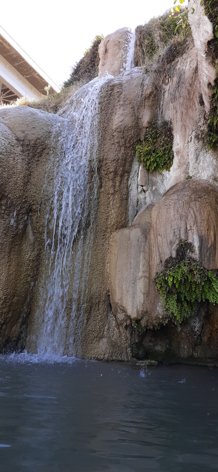 Beaver Dam Lodge | restaurant | 451 Co Hwy 91, Littlefield, AZ 86432, USA | 9283472222 OR +1 928-347-2222