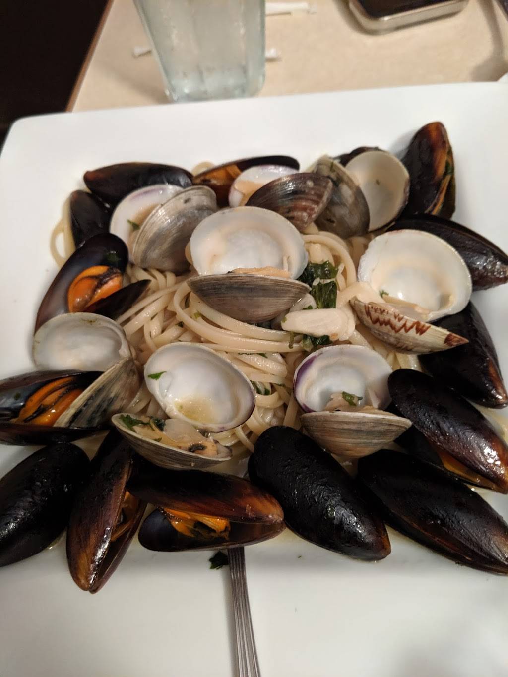 Sals Italian Bistro | restaurant | 125 S Main St, Edinburg, VA 22824, USA | 5409849300 OR +1 540-984-9300