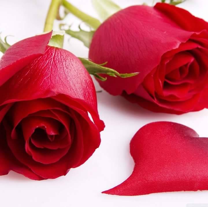 New Sun Star Buffet | restaurant | 5819 S Central Ave, Phoenix, AZ 85040, USA | 6022322688 OR +1 602-232-2688