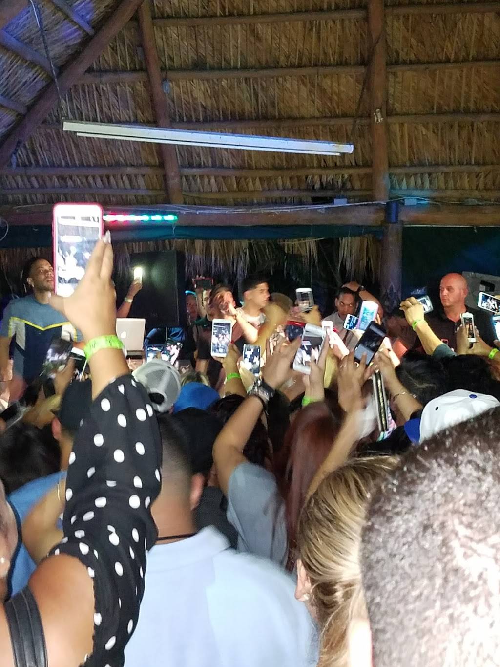 Green Gators Bar & Grill | restaurant | 9202 Anderson Rd, Tampa, FL 33634, USA | 8133042260 OR +1 813-304-2260