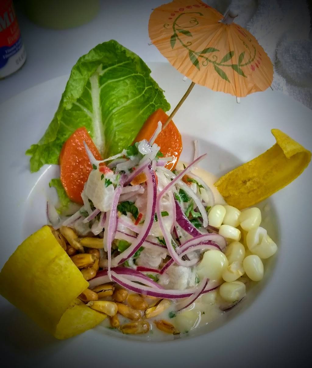 Konakai Peruvian Cuisine | restaurant | 4305 NW 88th Ave, Sunrise, FL 33351, USA | 9549095525 OR +1 954-909-5525