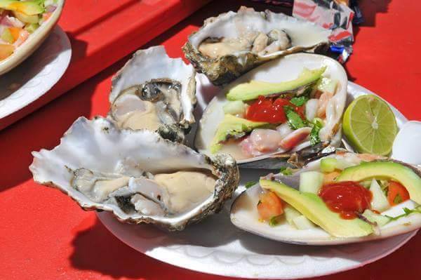 Mata Ashta Restaurant | restaurant | 11033, Av Estero, San Antonio del Mar, Baja California, Mexico | 016646312138 OR +52 664 631 2138