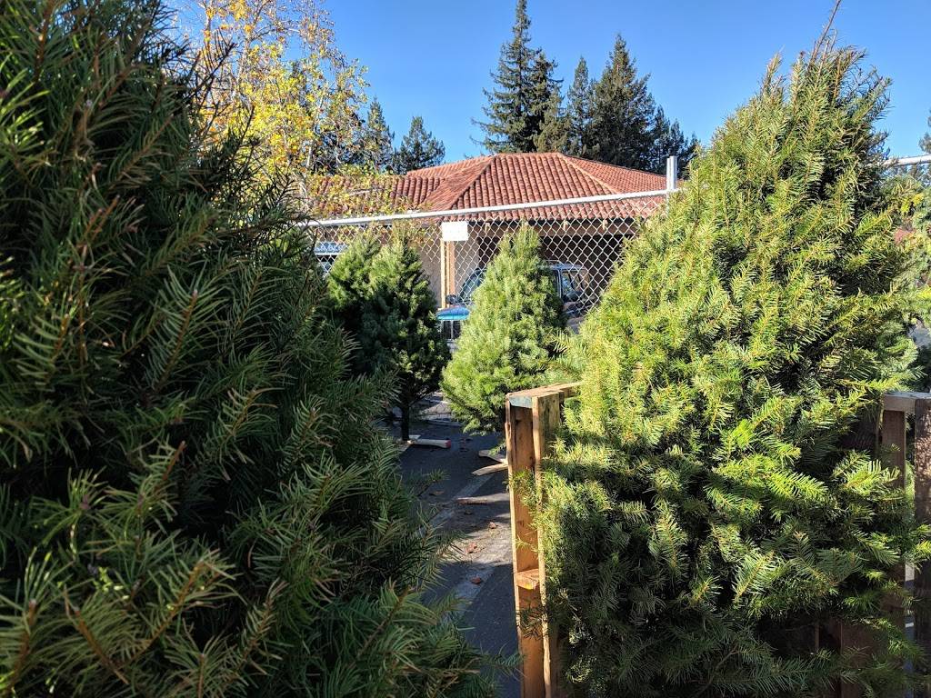 Subway | restaurant | 780 Gravenstein Hwy N, Sebastopol, CA 95472, USA | 7078238148 OR +1 707-823-8148