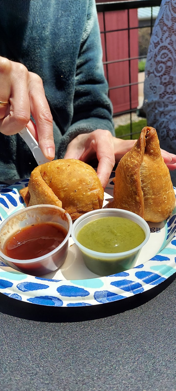 Raja Restaurant: Biryani & Curries House | restaurant | 151 Main St, Stowe, VT 05672, USA | 8027606685 OR +1 802-760-6685