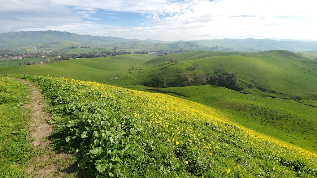 Lukas Pizzeria | restaurant | 2058 Lusitano St, Danville, CA 94506, USA | 4154252109 OR +1 415-425-2109