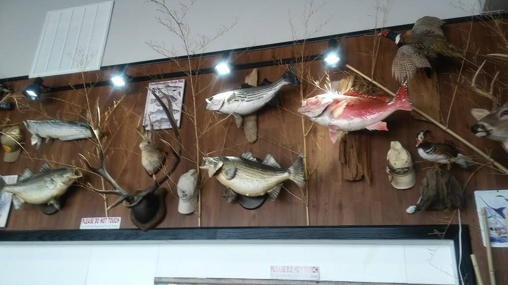 Hot Wok Express | restaurant | 6570 AL-69, Tuscaloosa, AL 35405, USA | 2057580148 OR +1 205-758-0148