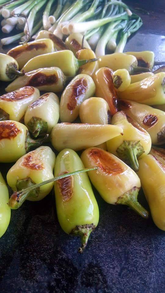 Taquería Villa 89 | restaurant | Calle Calafia 401, Popular 1989, 22810 Ensenada, B.C., Mexico | 016462006271 OR +52 646 200 6271