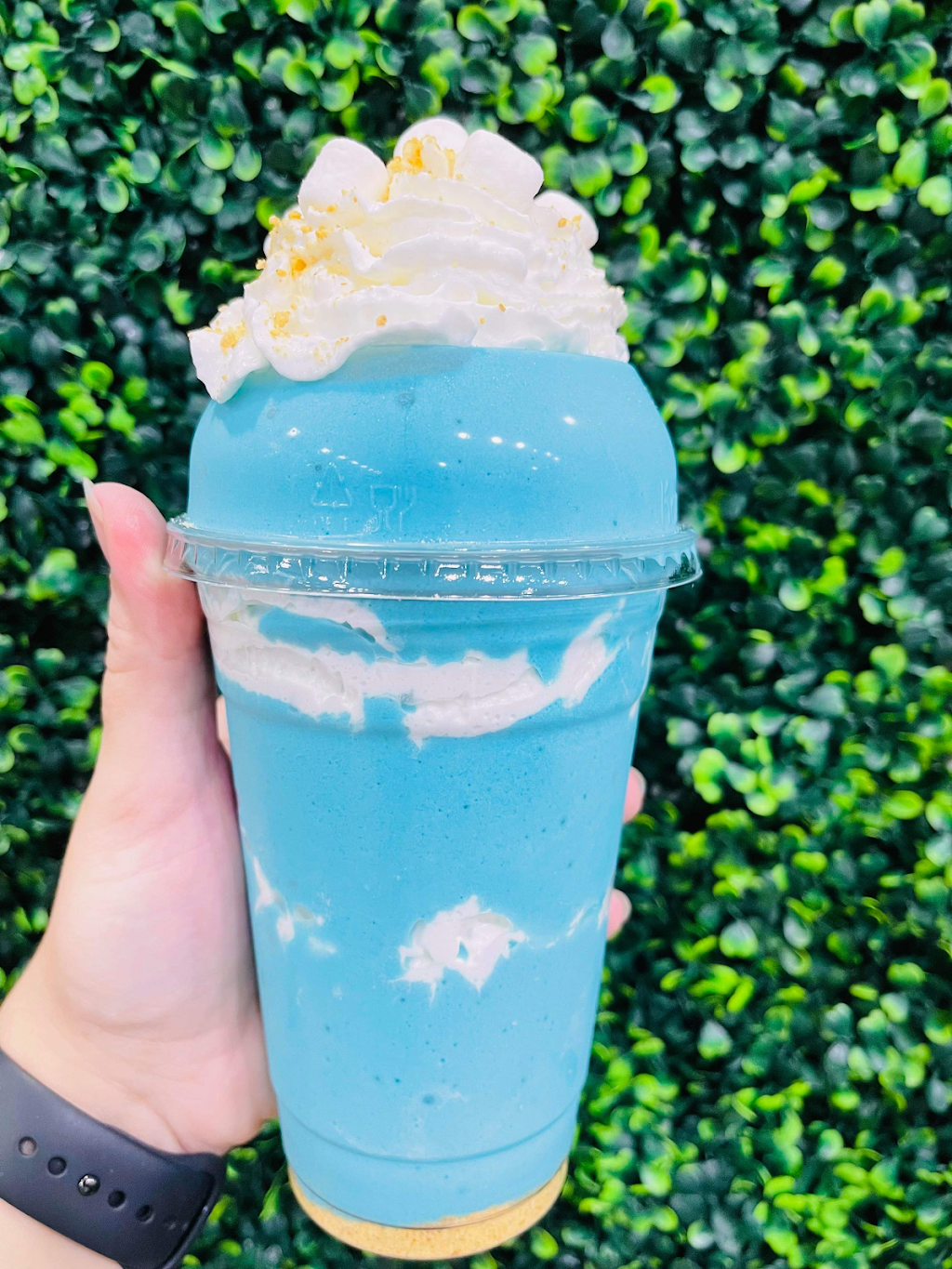 Wisco Nutrition | cafe | 727 Oak St, Wisconsin Dells, WI 53965, USA | 6086782279 OR +1 608-678-2279