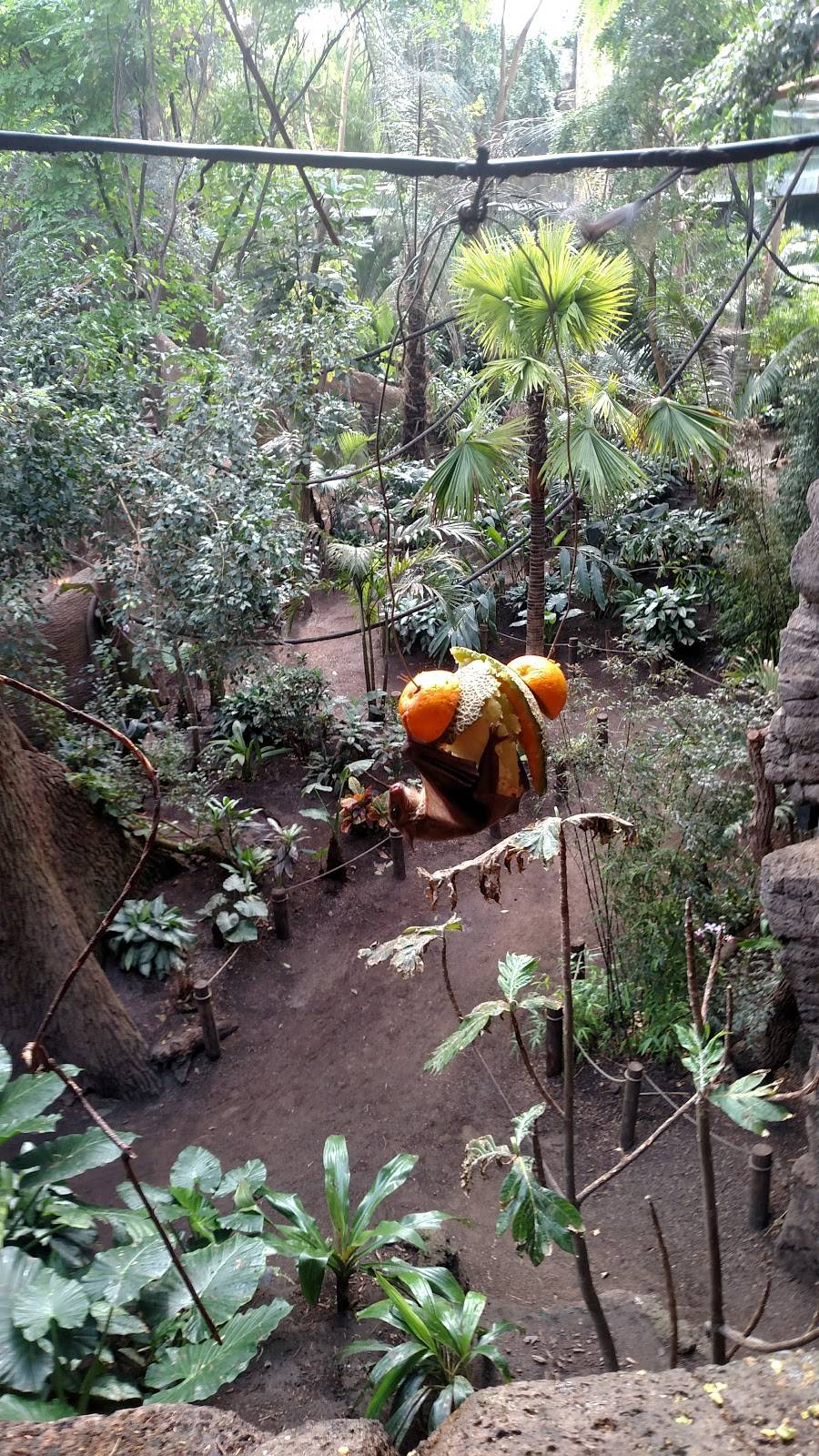 Durham TreeTops Restaurant | restaurant | 3701 S 10th St, Omaha, NE 68107, USA | 4027338401 OR +1 402-733-8401