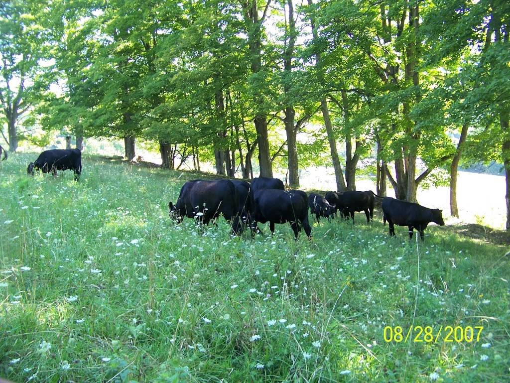 Cloudland Farm | restaurant | 1101 Cloudland Rd, Woodstock, VT 05091, USA | 8024572599 OR +1 802-457-2599