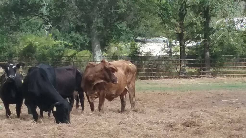 Papa Johns Pizza | restaurant | 17532 Airline Hwy Ste. D, Prairieville, LA 70769, USA | 2257447272 OR +1 225-744-7272