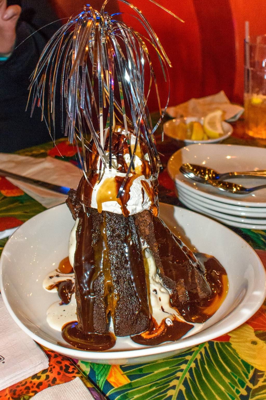 Rainforest Cafe | restaurant | 505 Rain Forest Rd, Lake Buena Vista, FL 32830, USA | 4079389100 OR +1 407-938-9100