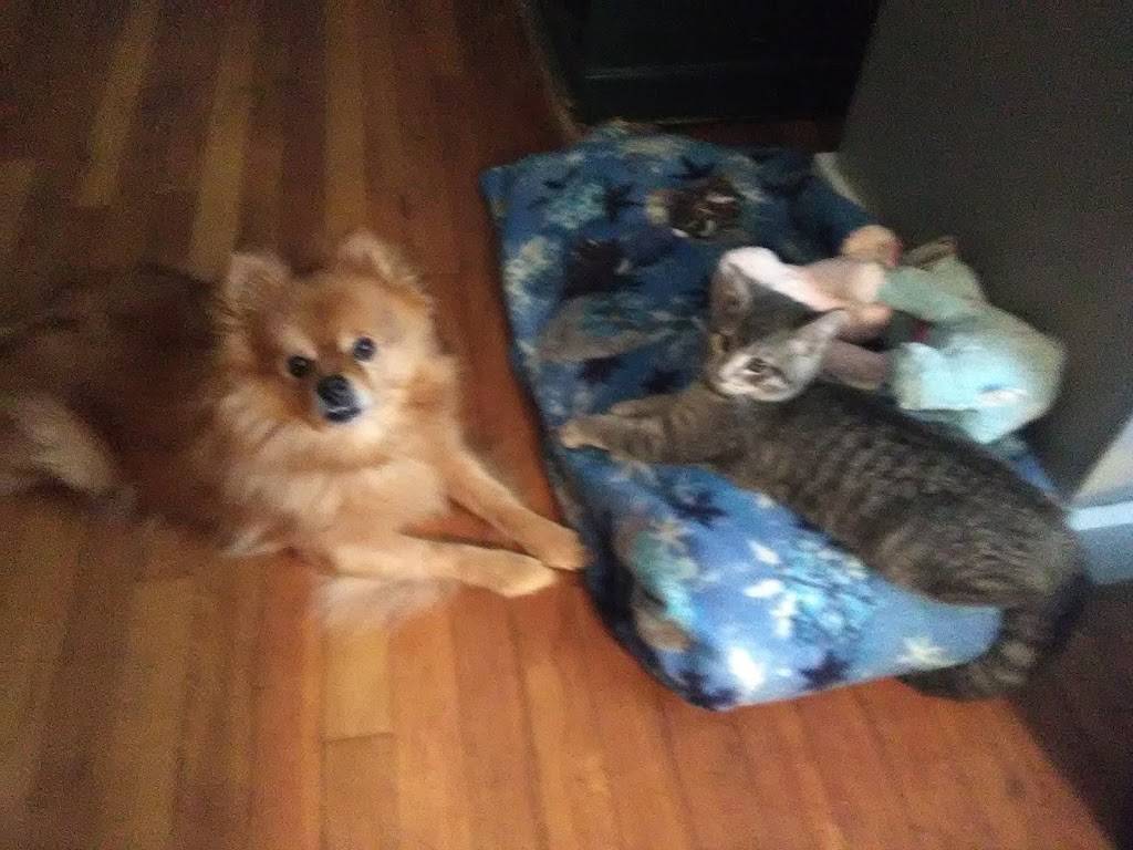 McDonalds | cafe | 364 Dix Ave, Queensbury, NY 12804, USA | 5187923056 OR +1 518-792-3056